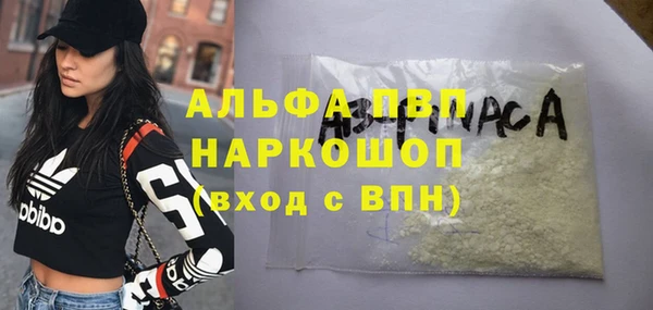 сатива Корсаков