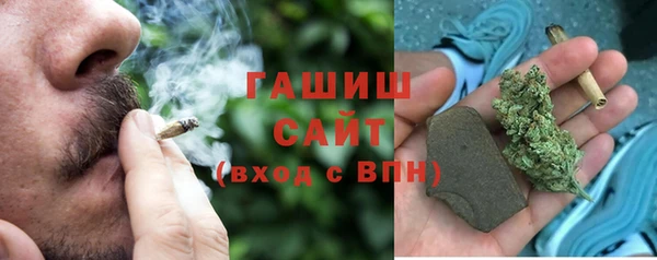 сатива Корсаков
