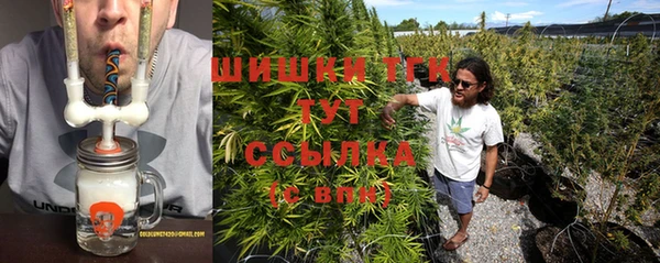 сатива Корсаков