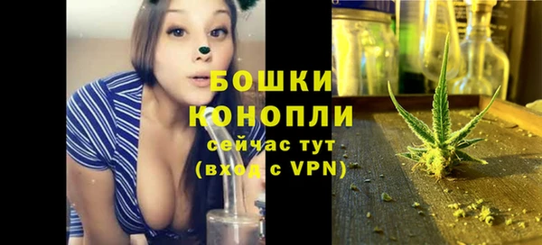 сатива Корсаков